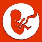 E-Life Simulation (Bitlife)